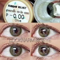 ราคา Russian Velvet By Gaezz Secret gray brown blue green ขนาดมินิ DIA 14 20 mm BC 8 6 mm หมายเลขใบอนุญาต อยน64 2 2 20005522 คอนแทคเลนส์ราย 1 เดือน เลนส์ที่ผลิตที่เกาหลี คุณภาพดี ได้มาตรฐาน ค่าอมน้ำ 45 Oxy