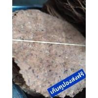 ราคา ถั่วเน่าแผ่น ขนาด 500 กรัม เช (1927048828)