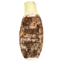 ราคา เผือก สินค้าสด taro (16531247733)
