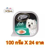 ราคา Cesar ซีซาร์ 24ถาด อาหารสุนัข อาหารเปียก แบบถาด รสปลาแซลมอนและมันฝรั่ง ขนาด100g (20642319685)