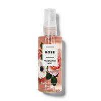 ราคา Travel Size Bath Body Works กลิ่น Japanese Cherrry Blossom Youre The One Into The Night Rose Champagne Toast A Thousand Wishes แท้ 100 USA (14115932627)