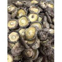 ราคา เห็ดหอม AA6 หนัก 1 กิโลกรัม ดอกใหญ่จัมโบ้ เนื้อหนานุ่ม (12148061893)