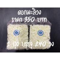 ราคา ดอกมะลิวง มะลิวงร้อยมาลัย พลาสติก (14543836810)