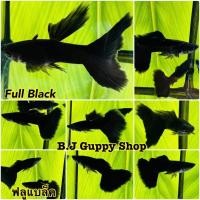 ราคา ฟลูแบล็ค พร้อม อาหารปลาหางนกยูง (21407760930)