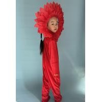 ราคา ชุดการแสดงผักสำหรับเด็กชุดการแสดงดอกไม้แครอทผักกาดขาวมันฝรั่งมะเขือเทศมะเขือพริกข้าวโพด (20761854045)