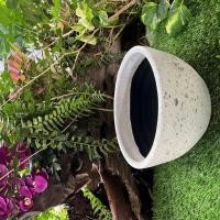 ราคา กระถางดินเผาทรงถ้วย ขนาด 26 x 15 cm (20992539994)