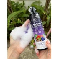 ราคา ฟรี หวีสางเหา แชมพูกำจัดเหา ยาฆ่าเหา ฆ่าเหา ไข่เหาหลุด สูตรสมุนไพร ออแกนิค แชมพูเด็ก ยากำจัดเหา กำจัดเหา ไข่เหา กลิ่นหอม (21234169533)