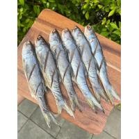 ราคา ปลากุเลาแดดเดียว บรรจุ 500 กรัม แพค ราคาแพคละ 200 240 บาท (17560318982)