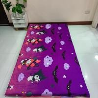 ราคา ปลอกที่นอนปิคนิค ขนาด 3 5 5 6 ฟุต เลือกลายได้ เฉพาะปลอก (21366216779)