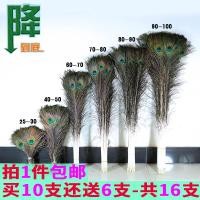 ราคา ขนนกยูงขนนกนกยูงธรรมชาติแท้แจกันใส่ของประดับตกแต่งขนนก25 100ซม (9977059227)