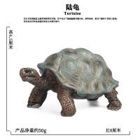 ราคา ของเล่นเด็กโมเดลสัตว์สะเทินน้ำสะเทินบกเต่าทะเลเต่าทะเลเต่าทะเลจำลองแบบคงที่ (21148404274)