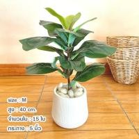 ราคา ต้นไทรใบสักปลอม ต้นไม้ กระถาง หินโรย ต้นไม้ปลอมตกแต่งห้องสไตล์มินิมอล ต้นไทรใบสักปลอม (17923443996)