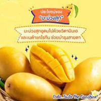ราคา มะม่วงน้ำดอกไม้สีทอง พรทิพย์ สดจากสวน หอมหวาน คัดพิเศษ เกรด พรีเมียม (17470680551)