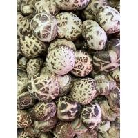 ราคา เห็ดหอมลายญี่ปุ่น 200 กรัม หอมดอกหนา ลายขาวสวย (12148107881)