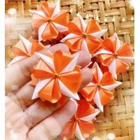 ราคา เหรียญโปรยทานดอกดาวกระจาย 50ชิ้น พร้อมส่ง (19648445651)