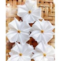 ราคา เหรียญโปรยทานดอกดาวกระจาย 50ชิ้น พร้อมส่ง (19648445650)