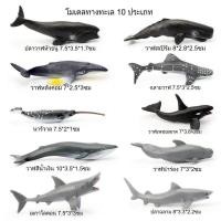 ราคา โมเดลสัตว์ป่า โมเดลสัตว์น้ำ 12 ตัว (21349156737)