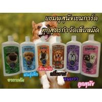 ราคา แชมพูสุนัขเชนการ์ด แชมพูหมา แชมพูสุนัข อาบน้ำหมา (19952847870)