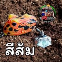 ราคา เหยื่อปลอมฮอนฟร็อก komedo horned frog 3 3 น้ำหนัก 6 5 กรัม กบยางเสมือนจริง สีสันสวยงาม หรัสPD67000029 (21328741887)