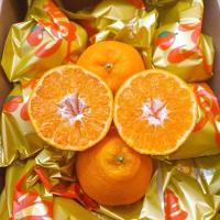 ราคา ส้มจุกสายพันธุ์ญี่ปุ่น 1Kg หอม หวานฉ่ำ อร่อย (21404394493)