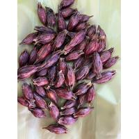 ราคา เม็ดพุดจีน 200 กรัม เม็ดทำสีเก๊กฮวย จุยกีจี้ (19679421094)