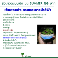 ราคา สวนขวดแก้ว DIY ชุดจัดพร้อมขวด199 บาท ครบเซ็ท ไซต์มินิ สวนเปิด (21408834063)