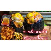 ราคา ขายเนื้อตาลยีราคาส่ง คุณภาพดีเยี่ยมเกินราคา ถุงละ 1 กิโลกรัม กิโลละ100บาทตาลแท้และใหม่ 100 สด สะอาด สนใจสั่งได้นะจ้า (9865986874)