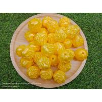 ราคา เหรียญโปรยทาน สับปะรดภูแล ตัวเปล่า 50 ชิ้น (20015165722)