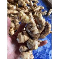 ราคา ขิงแก่ตัวตกส่งออก ขิงปีนี้ (21378456194)