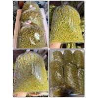 ราคา ไข่แมงดาสด ไข่แมงดา พร้อมปรุงอาหาร แมงดาไข่ (16044081858)