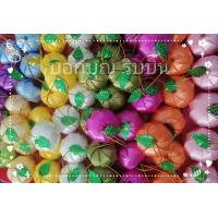 ราคา เหรียญโปรยทานลูกส้ม ตัวเปล่าไม่ใส่เหรียญ คละสี (21283622917)