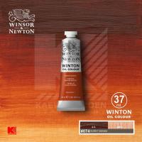 ราคา สีน้ำมัน Winsor Newton Winton หลอด 37 มล (10228479689)