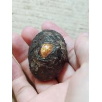 ราคา เครื่องรางเบี้ยแก้หลวงปู่บุญเก่าๆๆๆ (17995182837)