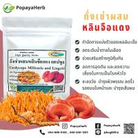 ราคา เห็ดหลินจือแดงผสมถั่งเช่าผง 100 แคปซูล สมุนไพร100 (18331466992)