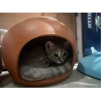 ราคา บ้านแอร์ดินเผา ขนาด10นิ้วบ้านกระต่าย บ้านแมว แมวเด็ก (21398614872)