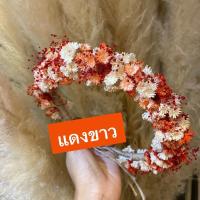 ราคา พร้อมส่ง มาใหม่ งานสวย คุ้มมาก มงกุฎดอกไม้จริงอบแห้ง ส่งของทุกวัน มงกุฎดอกไม้แห้ง ส่งด่วน (21445368325)