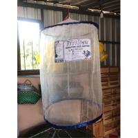 ราคา มุ้งเตะธีรธร มุ้งเตะซ้อมไก่ ล่อไก่ มุ้งเตะไก่ (18178849015)