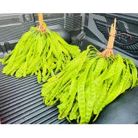 ราคา สะตอ สะตอฝัก สะตอสดคีรีวง 5 ฝัก คัดสวยพิเศษ (21412226191)