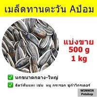 ราคา เมล็ดทานตะวันใหญ่ Aป้อม สำหรับนก และ สัตว์ฟันแทะ (9694209676)