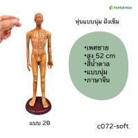 ราคา หุ่นจำลองจุดฝังเข็ม ขนาด 52 54 62cm หุ่นจำลองฝังเข็มได้ งานละเอียดพิเศษ Acupuncture Model By Fangkhem (20813476387)