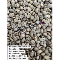 ราคา สารกาแฟดิบ อราบิก้า ลาว เกรด Aรวม บรรจุ 1 kg 2kg (17212979455)