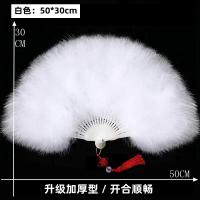 ราคา พัดขนนกพัดขนนกบุขนกำมะหยี่หนาพิเศษ cos พัดใส่เครื่องเขียนกี่เพ้าพัดเต้นรำสำหรับการแสดงบนเวทีเดินแบบพัดขนปุย (10999371107)