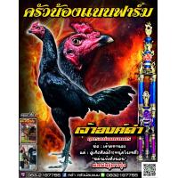 ราคา ไข่เชื้อไก่ชน ลูกชายเจ้ามหานคร สิงห์ดำหนุ่มโรงหมี่ พ่อพันธุ์โคตรเบอร์แข็ง (21454581349)