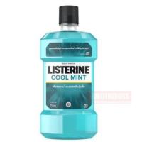 ราคา Listerine น้ำยาบ้วนปากลิสเตอรีน 750 มล สูตร Cool Mint Listerine Mouth Wash 750 ml (10141209994)