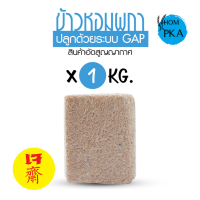 ราคา ข้าวกข43 กข43 ข้าวสุขภาพ ข้าวผู้ป่วยเบาหวาน ข้าวกล้อง ข้าวปลอดสาร ข้าวของแท้泰国大米品种编号43 43号泰国大米 低血糖指数大米 健康大米 香米 糙米 有机大米 หอมผกา牌大米 真正的大米 RD43 Rice variety Low GI ตราหอมผกาบรรจุ 1 kgs ลัง brownrice ข้าวก