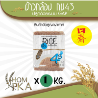 ราคา ข้าวกล้อง กข43 แท้100 LOW GI ดัชนีน้ำตาลต่ำ ข้าวกล้อง 泰国大米品种编号43 RD43 Rice variety ตราหอมผกา ขนาดบรรจุ 1 kgs ลัง ปลูกด้วยระบบ GAP ข้าวกล้อง brownrice (416067375)