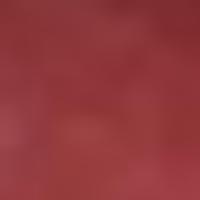 ราคา BEWILD Mini Me Matte Liner (2492038386)