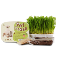 ราคา Pet Grass ผลิตภัณฑ์เสริมอาหาร ชุดปลูกต้นข้าวสาลีอ่อนออร์แกนิค สำหรับสัตว์เลี้ยง (15668180750)