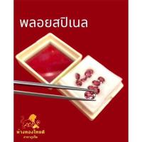 ราคา พลอยสปิเนล คัดเกรด ของแท้ 100 สำหรับทำต่างหู (21509133673)