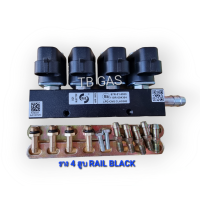 ราคา รางหัวฉีด 4 สูบ RAIL BLACK แก๊สรถยนต์ (21507677481)